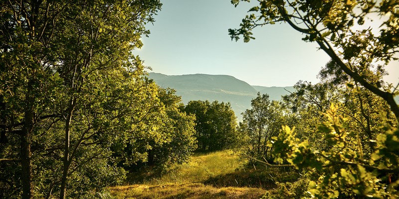 Nature Takes Hold of Ahlam Golf & Mountain Village 